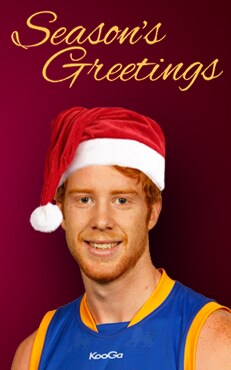 Banfield_Xmas-article.jpg